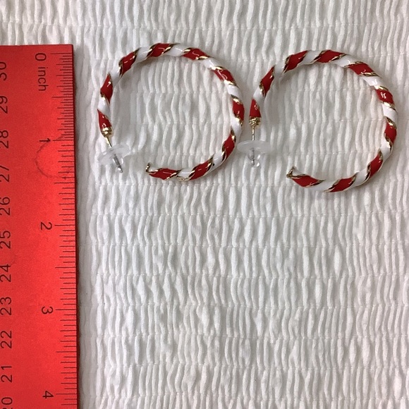 Enamel Spiral Pattern Hoop Candy Cane Alloy Earrings - Picture 3 of 4